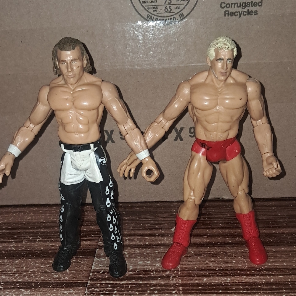 WWf 1999 Titantron Jack Pacific action figures Shawn Michaels and Ric Flair